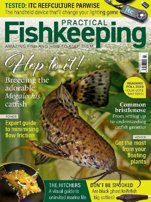 Title details for Practical Fishkeeping by Warners Group Publications Plc - Available